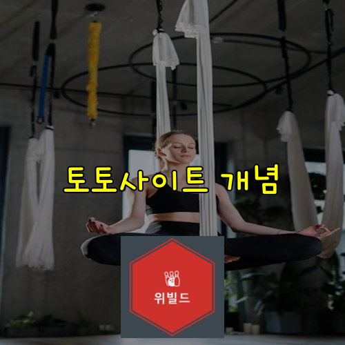 2025년 검증된 토토사이트 추천 - 먹튀 없는 안전한 메이저사이트 - 위빌드토토